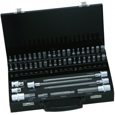 10mm antgalių rinkinys 49vnt, TORX, HEX, XZN 10mm antgalių rinkinys 49vnt, TORX, HEX, XZN