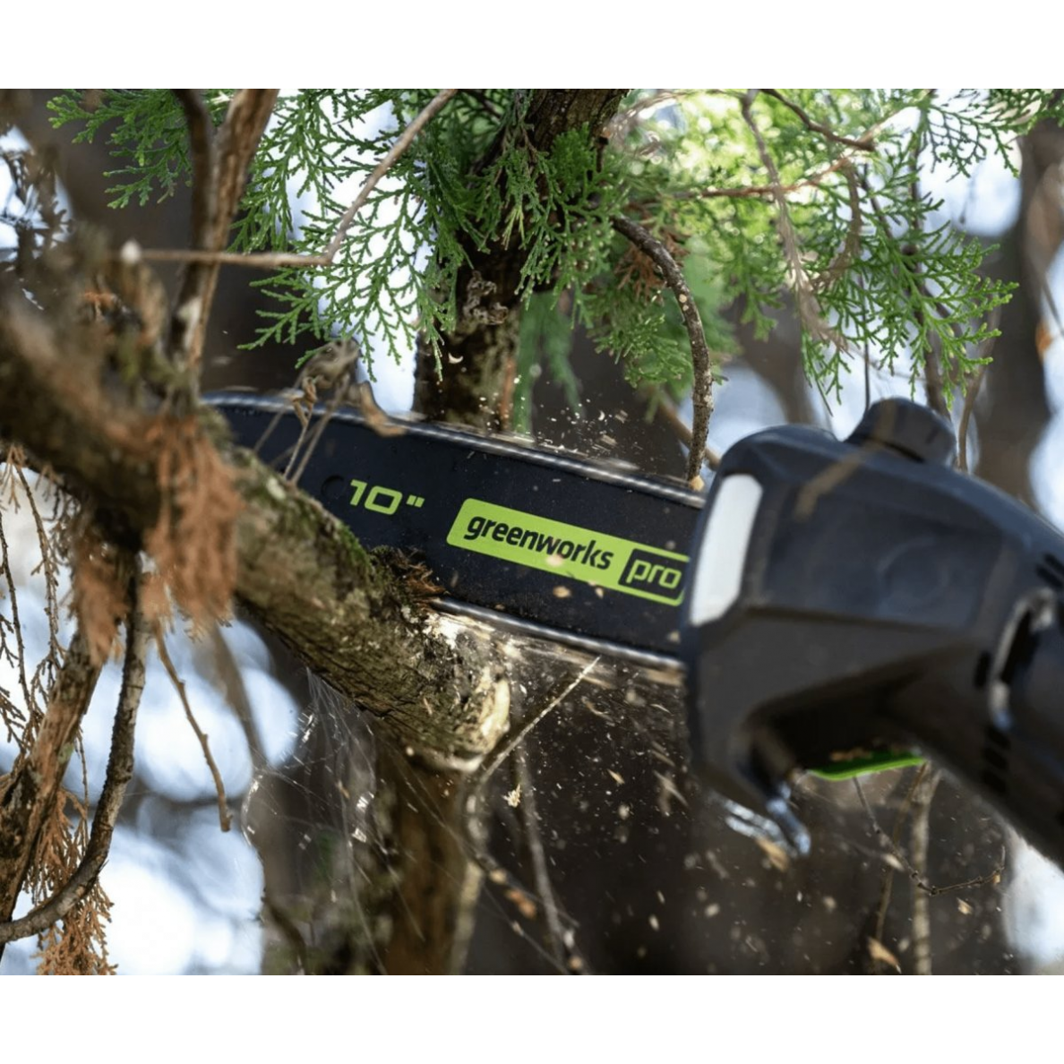 Greenworks GD60PS25 AUKŠTAPJOVĖ (60V be akumuliatorių ir kroviklio) 1 Greenworks GD60PS25 AUKŠTAPJOVĖ (60V be akumuliatorių ir kroviklio) 1