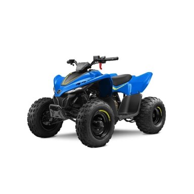 CFMOTO CFORCE 110 BASIC vaikiškas keturratis