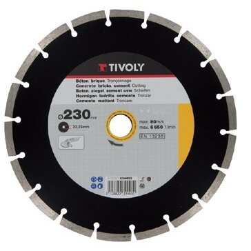 Deimantinis diskas Tivoly segment 125x22,2mm Deimantinis diskas Tivoly segment 125x22,2mm