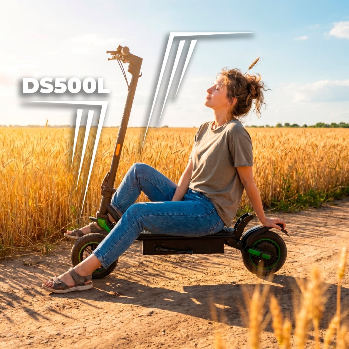 Elektrinė paspirtukė „ProCraft DS500L” 15