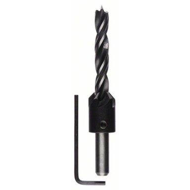 Grąžtas medienai Bosch, 10 mm, 1vnt. 2608596396