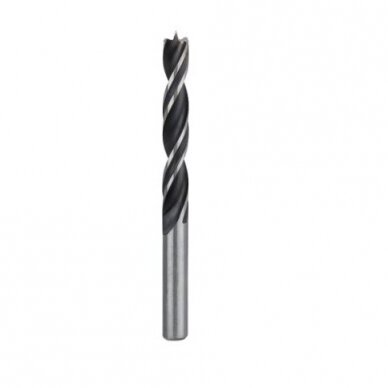Grąžtas medienai Bosch, 10x120 mm, 1 vnt. 2608596307 Grąžtas medienai Bosch, 10x120 mm, 1 vnt. 2608596307