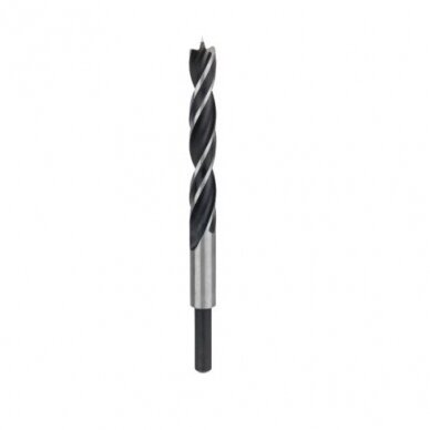 Grąžtas medienai Bosch, 12x140 mm, 1 vnt. 2608596309 Grąžtas medienai Bosch, 12x140 mm, 1 vnt. 2608596309