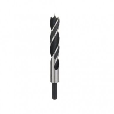 Grąžtas medienai Bosch, 24x210mm, 1 vnt. 2608597205 Grąžtas medienai Bosch, 24x210mm, 1 vnt. 2608597205