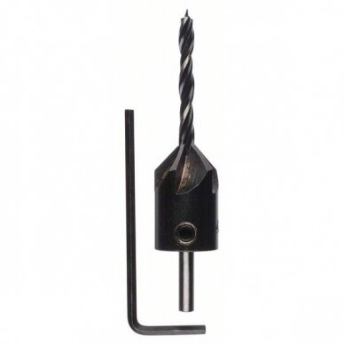 Grąžtas medienai Bosch, 4 mm, 1 vnt. 2608596391 Grąžtas medienai Bosch, 4 mm, 1 vnt. 2608596391