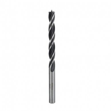 Grąžtas medienai Bosch, 8x110 mm, 1 vnt. 2608596305 Grąžtas medienai Bosch, 8x110 mm, 1 vnt. 2608596305