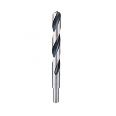 Grąžtas metalui Bosch PointTeQ, 17x125x184 mm, 1 vnt., 2608577312 Grąžtas metalui Bosch PointTeQ, 17x125x184 mm, 1 vnt., 2608577312