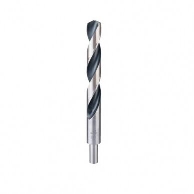 Grąžtas metalui Bosch PointTeQ, 20x140x205 mm, 1 vnt., 2608577315 Grąžtas metalui Bosch PointTeQ, 20x140x205 mm, 1 vnt., 2608577315