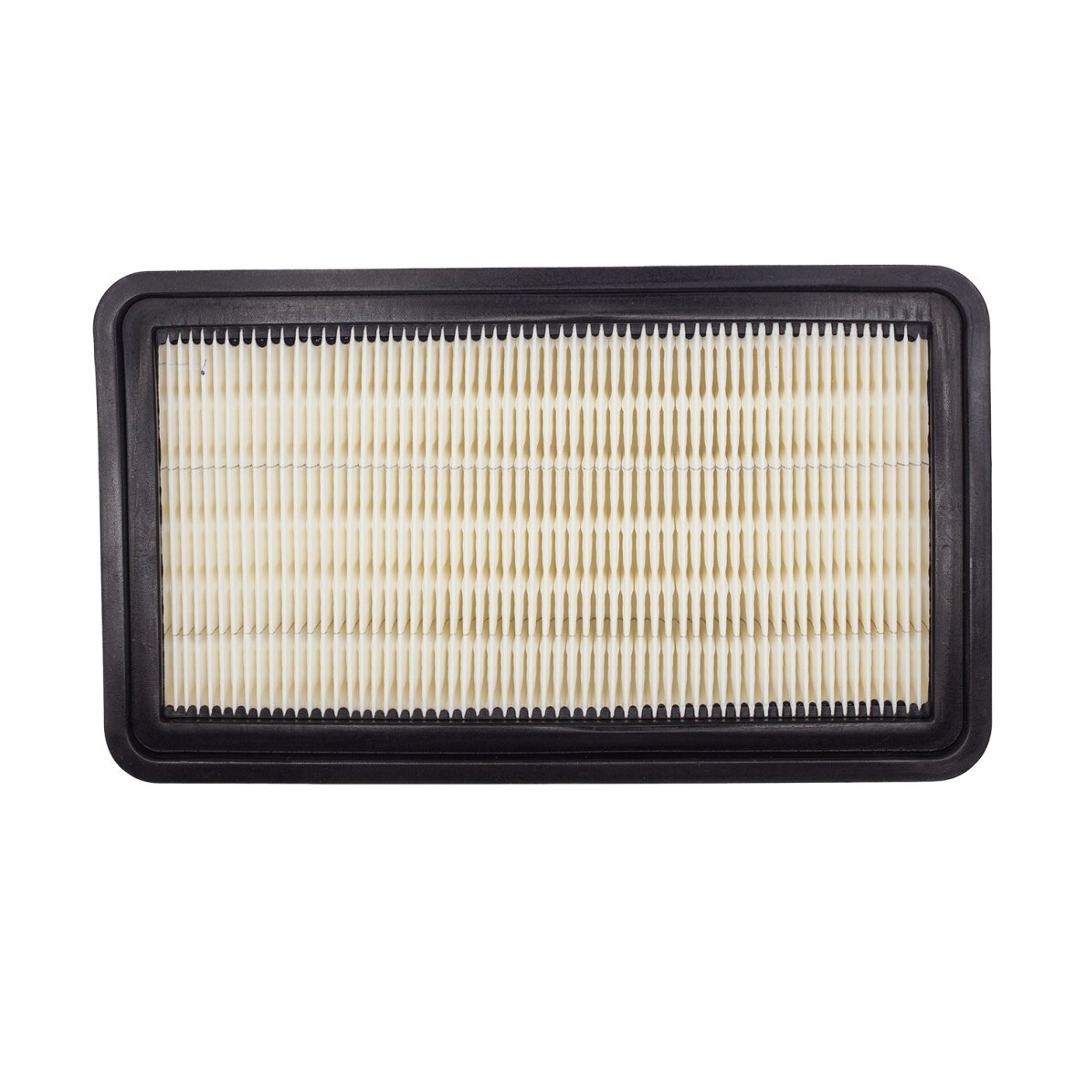 HEPA filtras „ProCraft FHVP20” 1