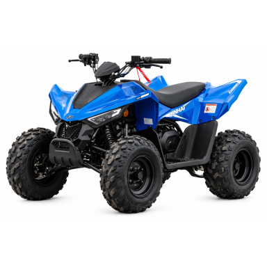 LINHAI ATV 110 vaikiškas keturratis