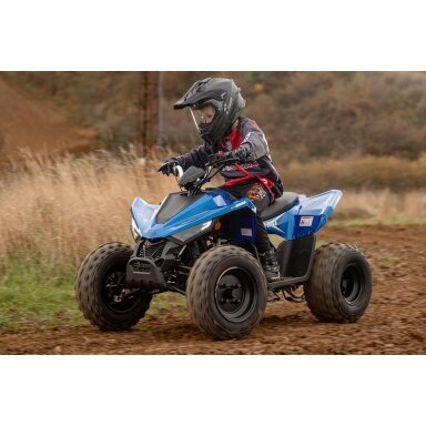 LINHAI ATV 110 vaikiškas keturratis