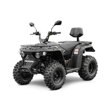 LINHAI M210 2X4 EFI T3B, BLACK keturratis