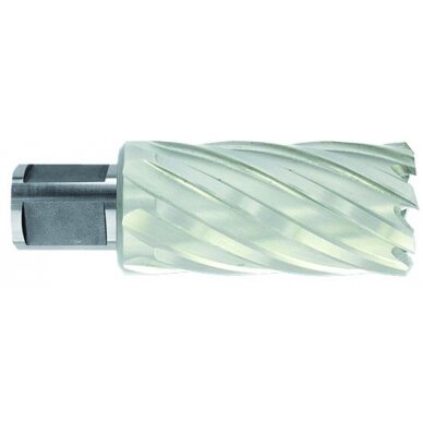 Metalo gręžimo freza Ø24X80X50 мм HSS, tvirtinimas Ø19 мм, Weldon Metalo gręžimo freza Ø24X80X50 мм HSS, tvirtinimas Ø19 мм, Weldon