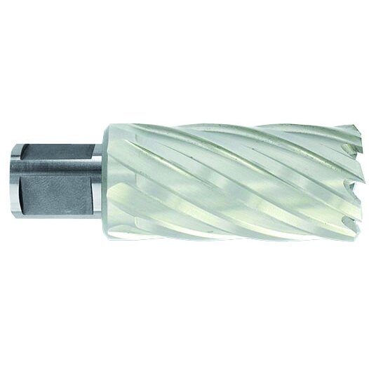 Metalo gręžimo freza Ø27X80X50 мм HSS, tvirtinimas Ø19 мм, Weldon Metalo gręžimo freza Ø27X80X50 мм HSS, tvirtinimas Ø19 мм, Weldon
