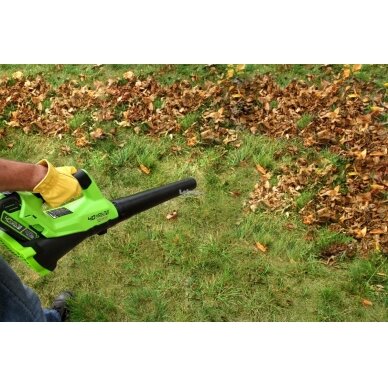 Greenworks G24AB PŪSTUVAS (24V be akumuliatorių ir kroviklio) 7 Greenworks G24AB PŪSTUVAS (24V be akumuliatorių ir kroviklio) 7