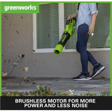 Greenworks GD24X2AB PŪSTUVAS (48V(2X24V) komplekte 2x 2 ah akumuliatoriai ir dvigubas kroviklis) 2