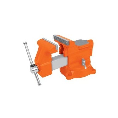 Šaltkalvio spaustuvai, HEAVY DUTY 100mm 11,4kg. 360° pasukamas. Keičiamos lūpos Truper®