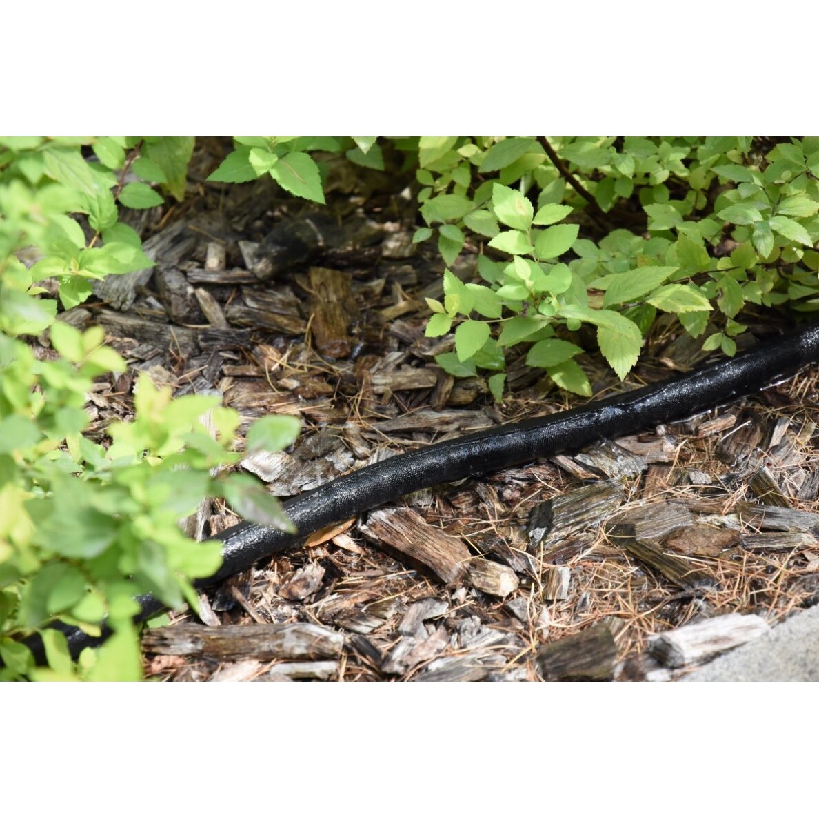 Žarna laistymui lašelinė, PVC Flo | d-16mm, l-7.5m 1